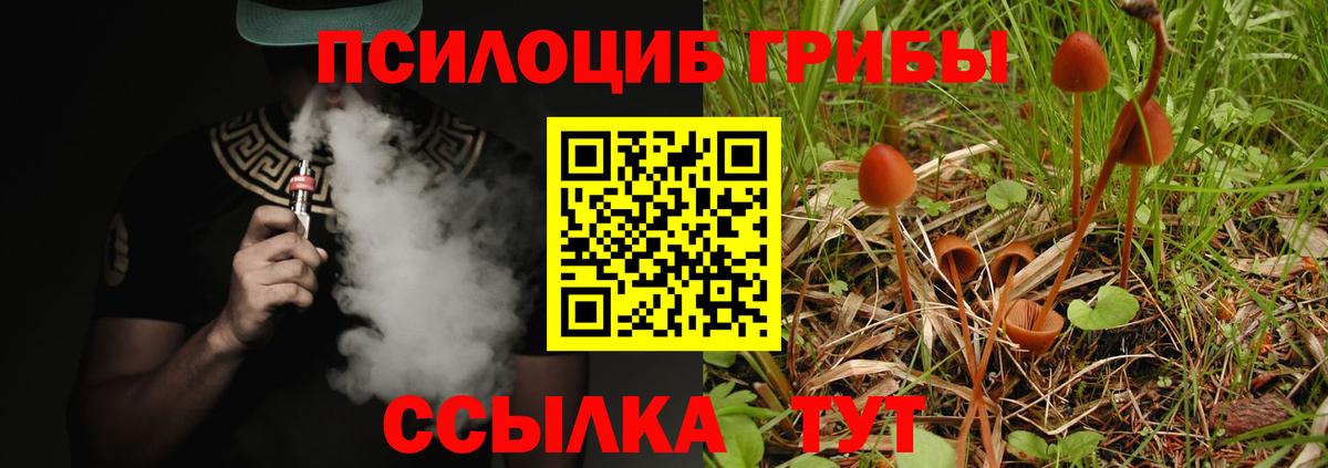 Галлюциногенные грибы Magic Shrooms  Вход с VPN  Якутск  Псилоцибиновые грибы GOLDEN TEACHER 